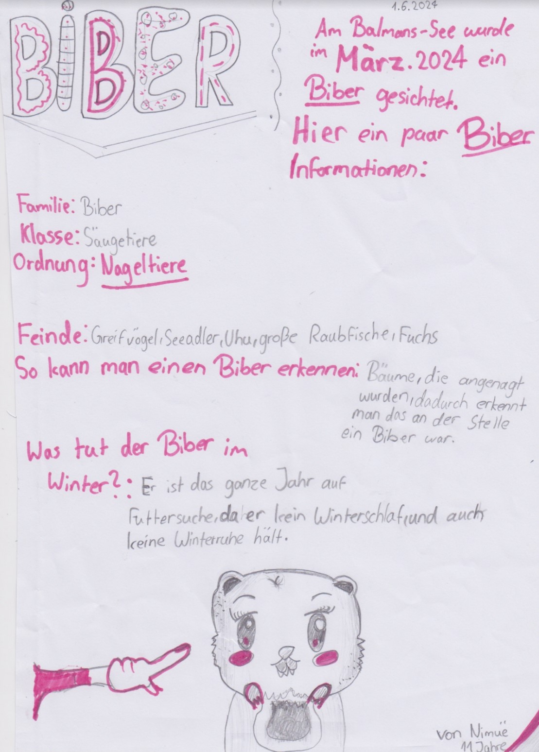 Biber